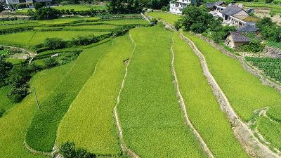 贵州毕节最新动态，科技领跑未来，高科技产品引领新生活
