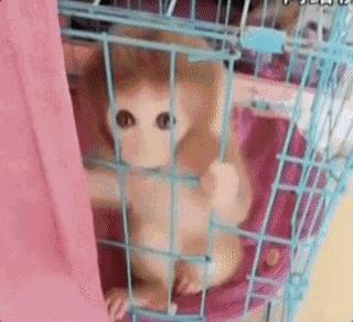 宝应最新个人住宅探索自然美景之旅