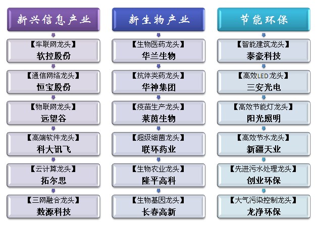 新兴产业股票龙头，投资新机遇与挑战并存