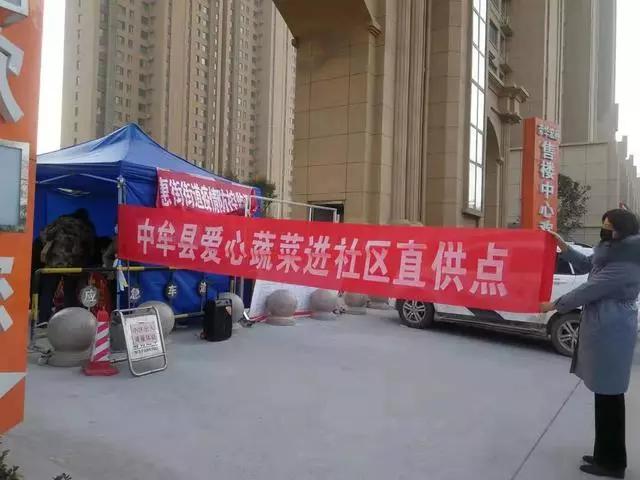 河南万邦蔬菜价格行情，小巷绿意中的市场脉搏