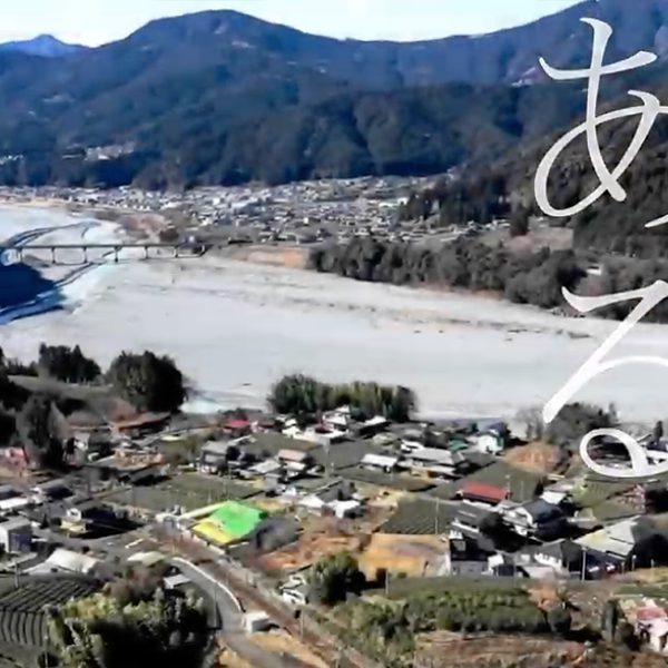 岚川新视频，科技与艺术融合的深度探索之旅