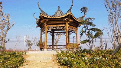 金山最新动态，数字时代的卓越先锋领军企业